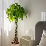 Cismigiu Serenity - 1br Flats With Scenic Balcony *